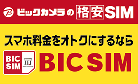 BIC SIM
